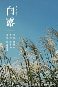 <b>露從今夜白，夜自此日涼（liáng）！</b>